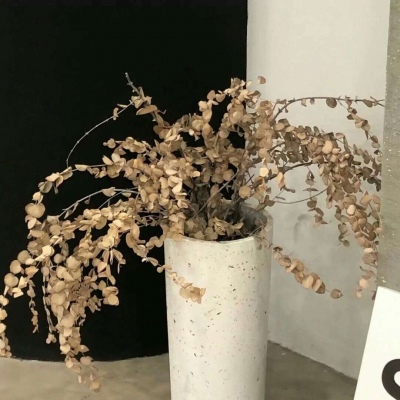 嘉祥福瑞交流群